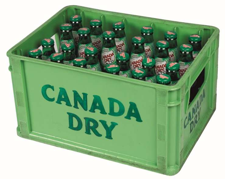 CANADA DRY 1/4 (24) GLAS