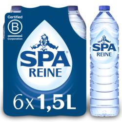 SPA REINE 1500 (6)