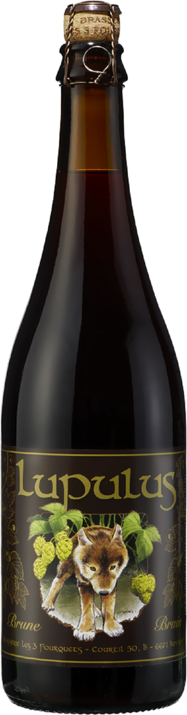 LUPULUS BRUIN 3/4