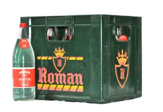 [20098] ROMAN BRUIS 1/1 (12)