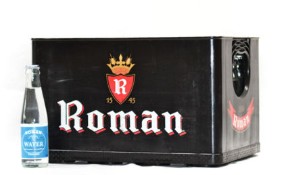 [20036] ROMAN PLAT 1/5 (24)