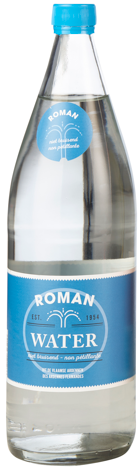 [20037_S] ROMAN PLAT 1/1